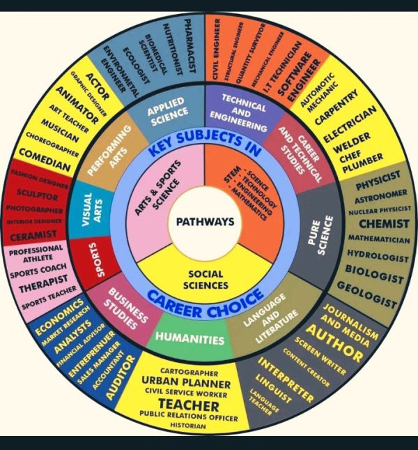 Career Wheel Compass Wall Mounted – Navigate Your Professional Journey with Purpose - Image 1